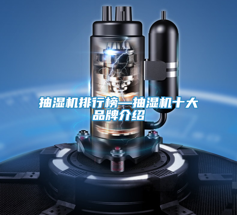 亚洲乱码一区二区三区 抽湿机排行榜—抽湿机十大品牌介绍