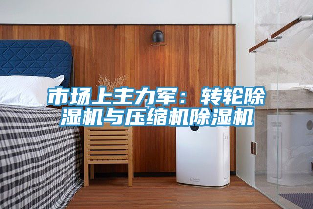 亚洲人成综合第一网站 市场上主力军：转轮除湿机与压缩机除湿机