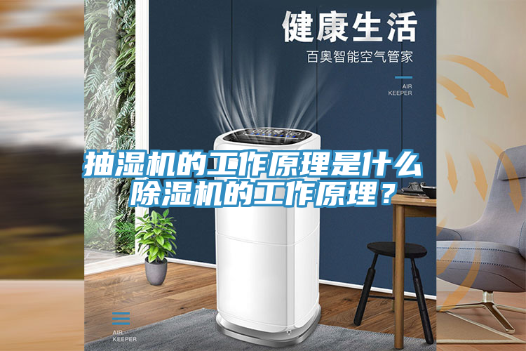 亚洲欧美一级特黄大片 抽湿机的工作原理是什么 除湿机的工作原理？