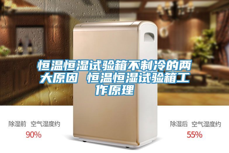 亚洲乱码一区二区三区 恒温恒湿试验箱不制冷的两大原因 恒温恒湿试验箱工作原理