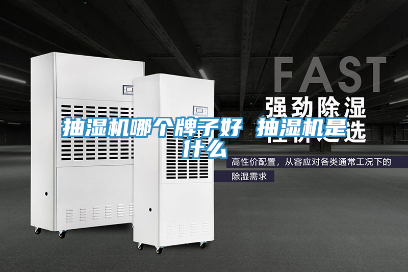 亚洲欧美一级特黄大片 抽湿机哪个牌子好 抽湿机是什么