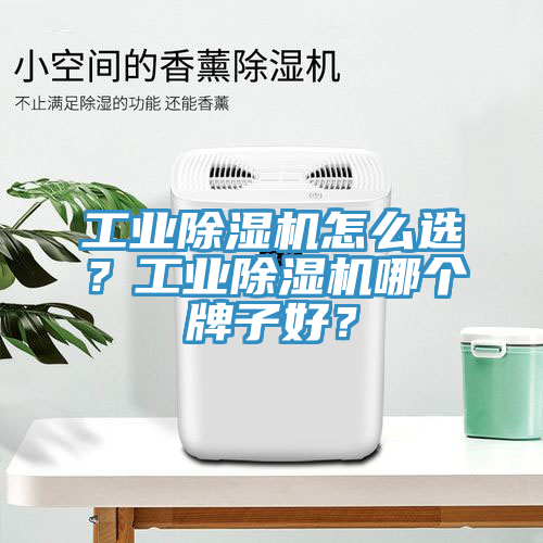 亚洲人成综合第一网站 工业除湿机怎么选？工业除湿机哪个牌子好？