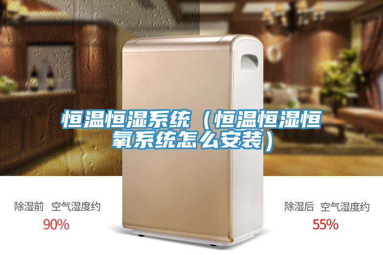 亚洲人成综合第一网站 恒温恒湿系统（恒温恒湿恒氧系统怎么安装）