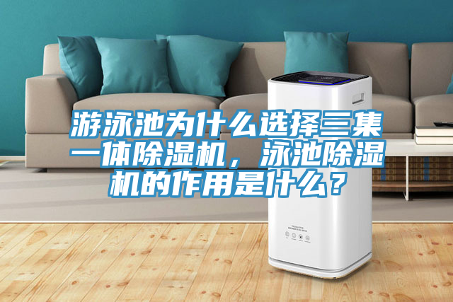 亚洲欧美一级特黄大片 游泳池为什么选择三集一体除湿机，泳池除湿机的作用是什么？