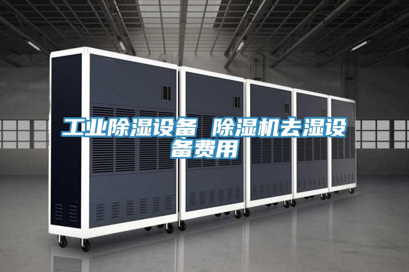 亚洲人成综合第一网站 工业除湿设备 除湿机去湿设备费用