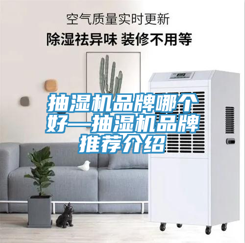 亚洲人成综合第一网站 抽湿机品牌哪个好—抽湿机品牌推荐介绍