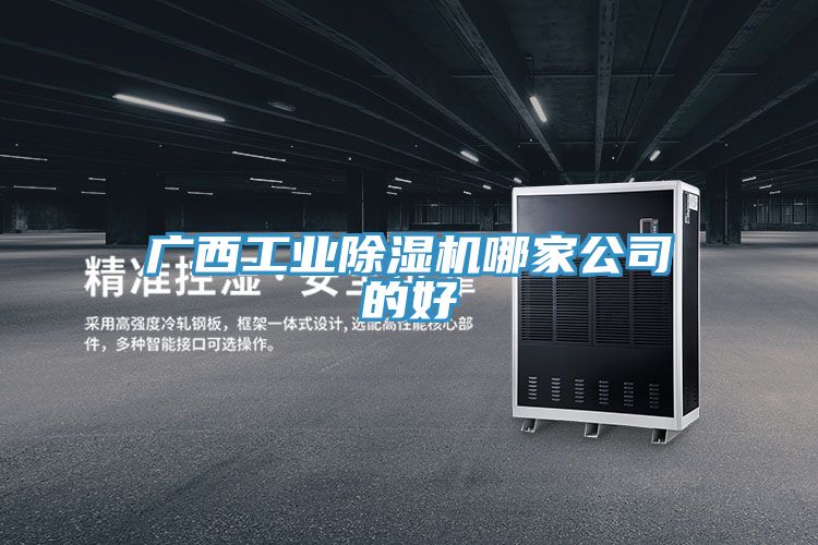 亚洲欧美一级特黄大片 广西工业除湿机哪家公司的好