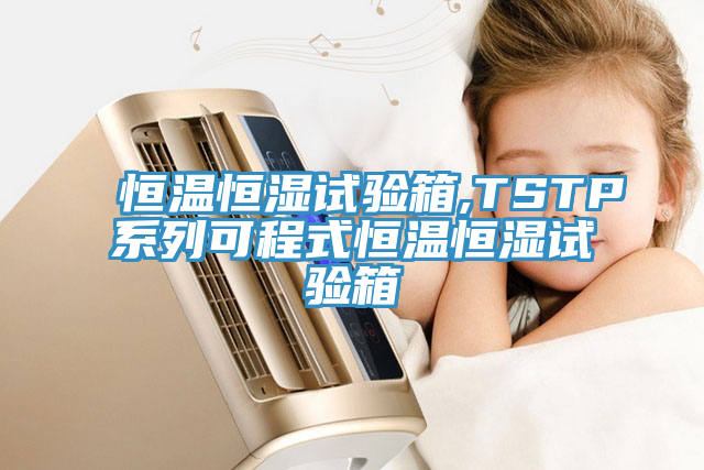 亚洲欧美一级特黄大片 恒温恒湿试验箱,TSTP系列可程式恒温恒湿试验箱