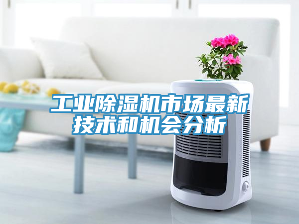 亚洲人成综合第一网站 工业除湿机市场最新技术和机会分析