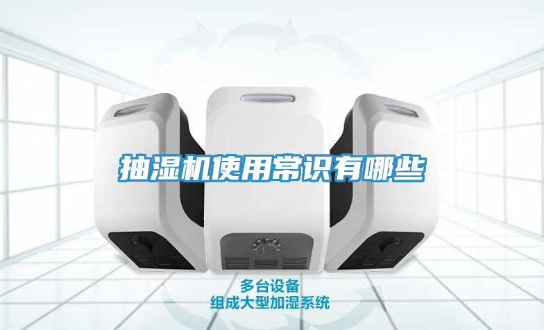 亚洲人成综合第一网站 抽湿机使用常识有哪些