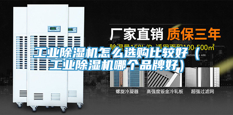 亚洲欧美一级特黄大片 工业除湿机怎么选购比较好（工业除湿机哪个品牌好）