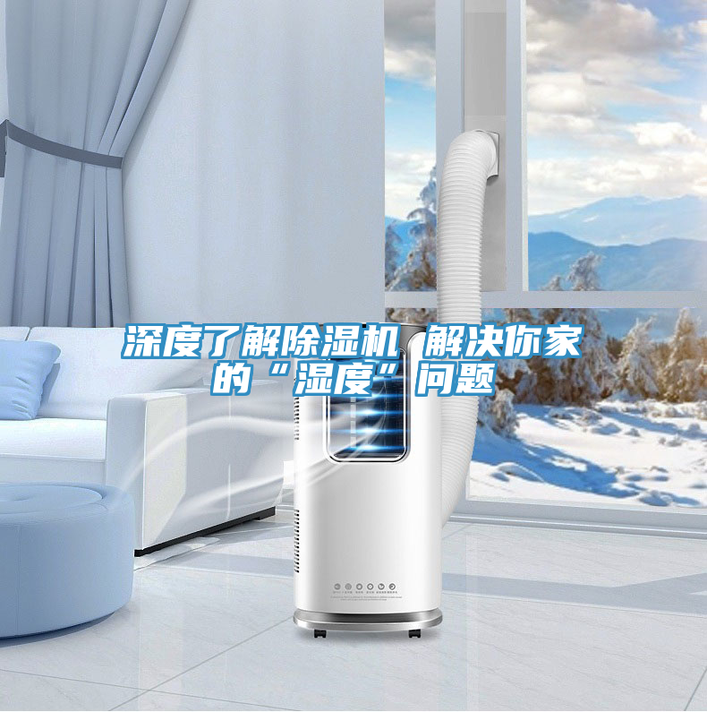 亚洲乱码一区二区三区 深度了解除湿机 解决你家的“湿度”问题