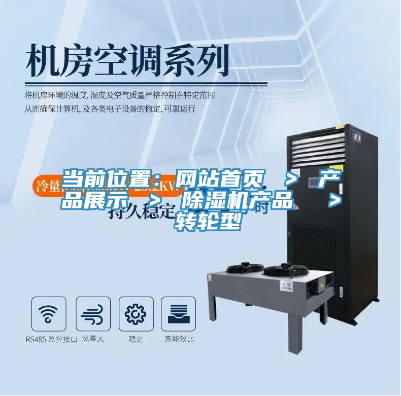 当前位置：网站首页 ＞ 产品展示 ＞ 除湿机产品  ＞ 转轮型