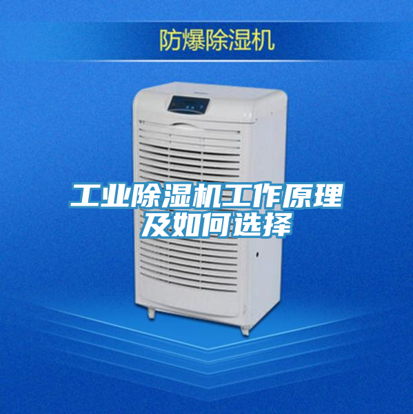 亚洲欧美一级特黄大片 工业除湿机工作原理 及如何选择