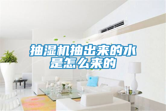 亚洲欧美一级特黄大片 抽湿机抽出来的水是怎么来的