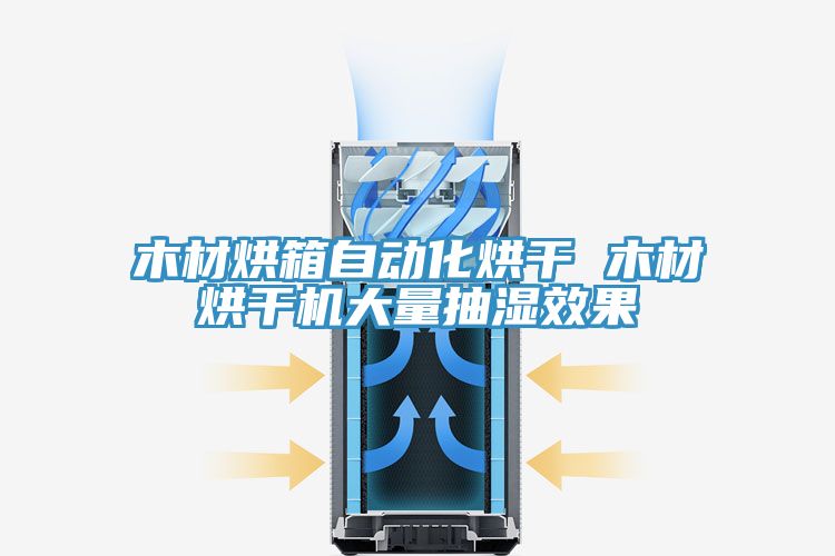亚洲欧美一级特黄大片 木材烘箱自动化烘干 木材烘干机大量抽湿效果