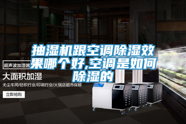亚洲欧美一级特黄大片 抽湿机跟空调除湿效果哪个好,空调是如何除湿的