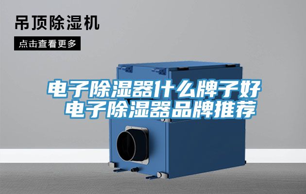 亚洲乱码一区二区三区 电子除湿器什么牌子好 电子除湿器品牌推荐