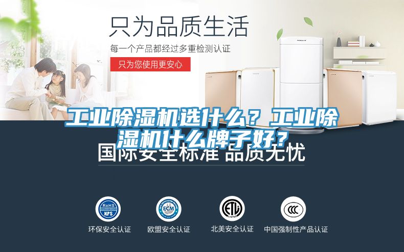 亚洲欧美一级特黄大片 工业除湿机选什么？工业除湿机什么牌子好？
