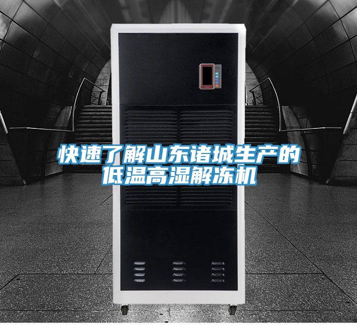 亚洲人成综合第一网站 快速了解山东诸城生产的低温高湿解冻机