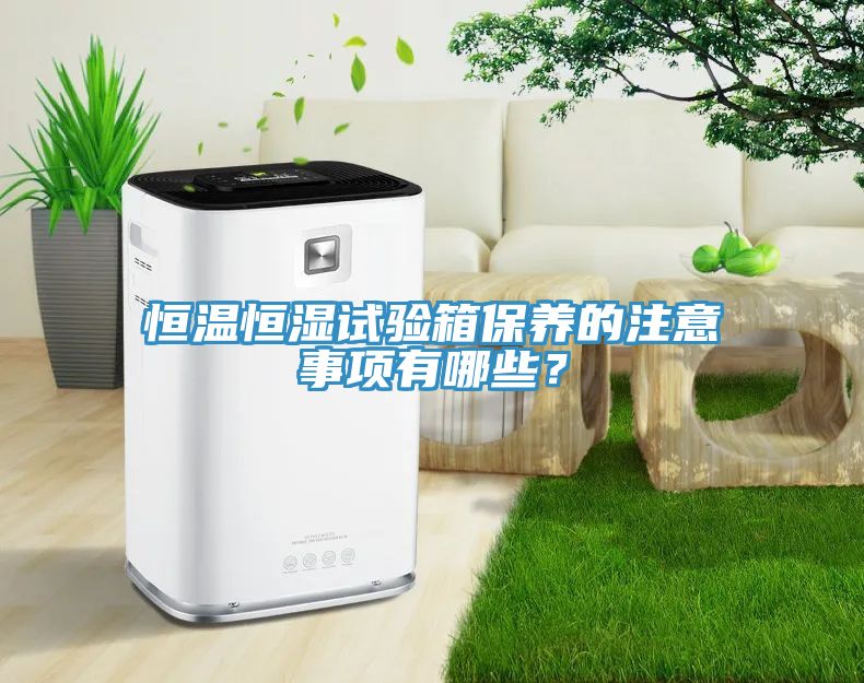 亚洲人成综合第一网站 恒温恒湿试验箱保养的注意事项有哪些？
