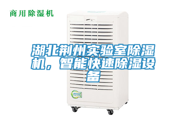 亚洲欧美一级特黄大片 湖北荆州实验室除湿机，智能快速除湿设备