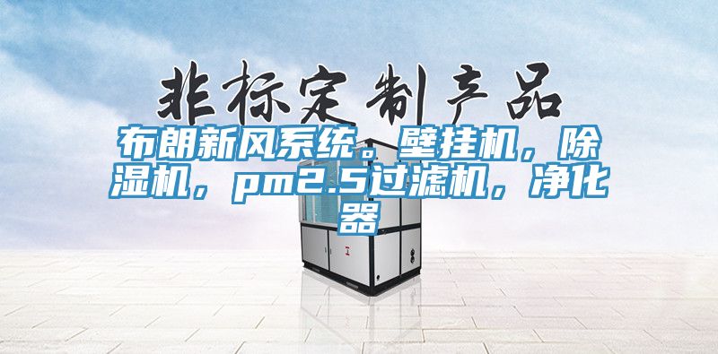 亚洲欧美一级特黄大片 布朗新风系统。壁挂机，除湿机，pm2.5过滤机，净化器