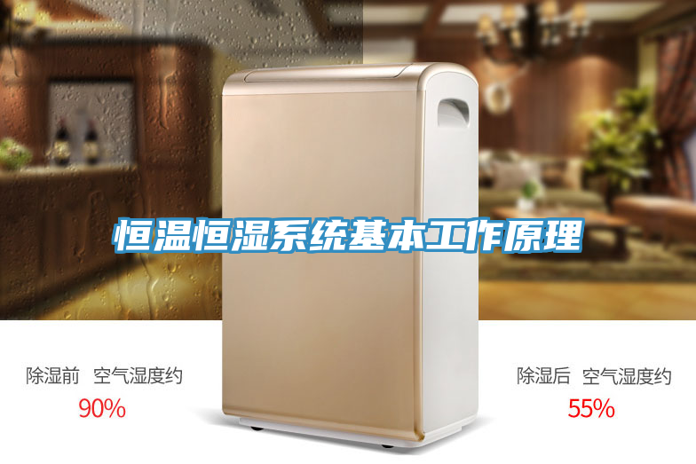 亚洲人成综合第一网站 恒温恒湿系统基本工作原理