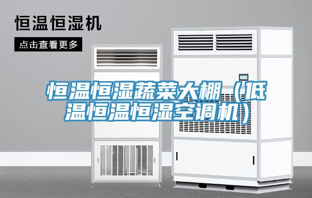 亚洲人成综合第一网站 恒温恒湿蔬菜大棚（低温恒温恒湿空调机）