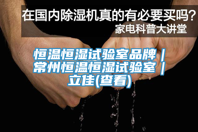 亚洲欧美一级特黄大片 恒温恒湿试验室品牌｜常州恒温恒湿试验室｜立佳(查看)
