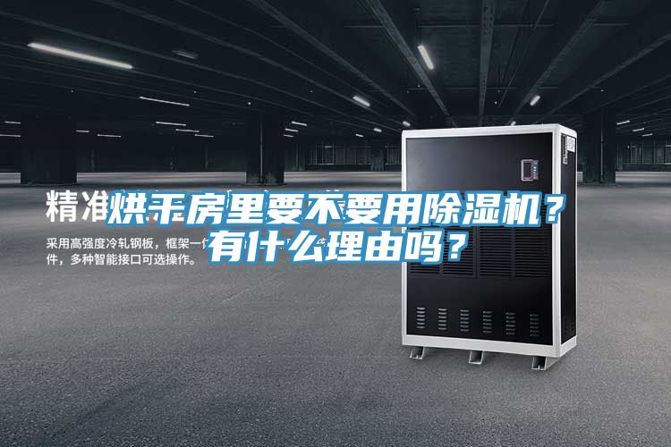 亚洲欧美一级特黄大片 烘干房里要不要用除湿机？有什么理由吗？