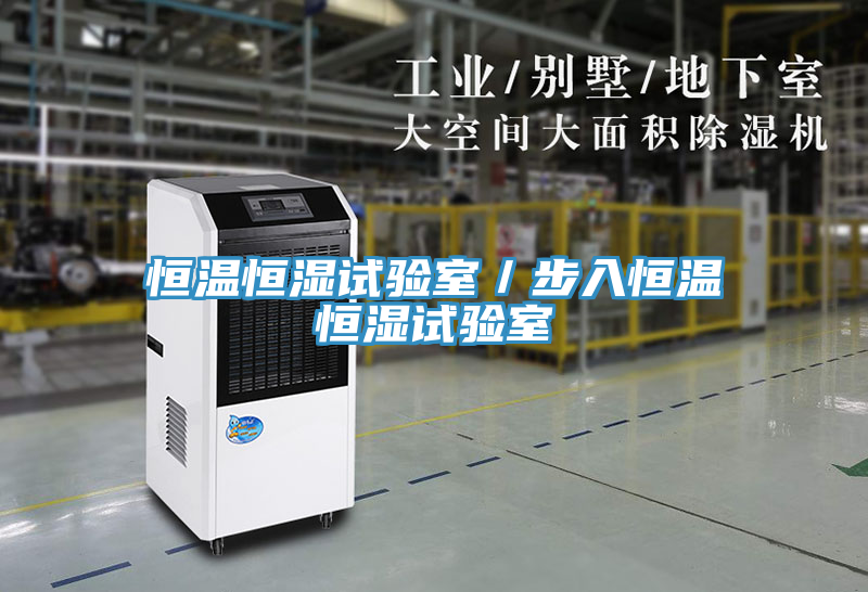 亚洲欧美一级特黄大片 恒温恒湿试验室／步入恒温恒湿试验室