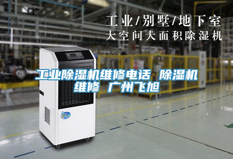亚洲欧美一级特黄大片 工业除湿机维修电话 除湿机维修 广州飞旭