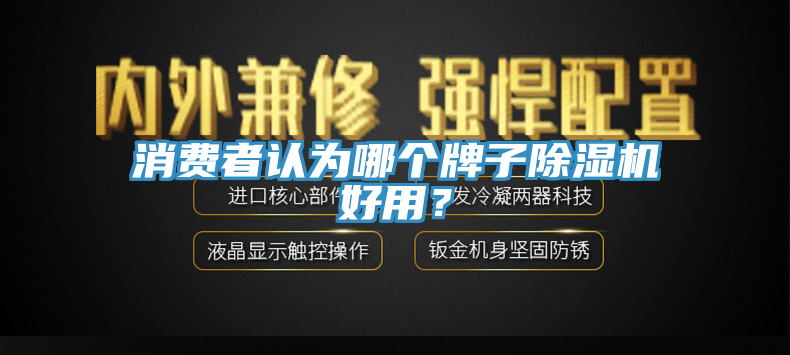 亚洲欧美一级特黄大片 消费者认为哪个牌子除湿机好用？