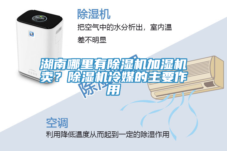 亚洲欧美一级特黄大片 湖南哪里有除湿机加湿机卖？除湿机冷媒的主要作用