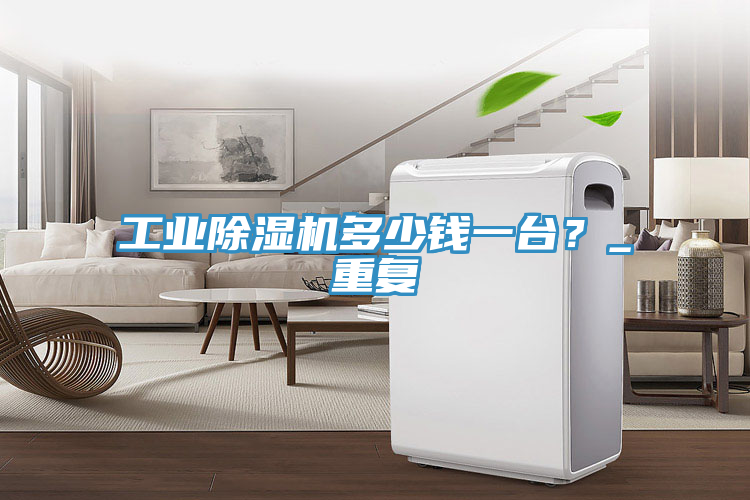 亚洲人成综合第一网站 工业除湿机多少钱一台？_重复
