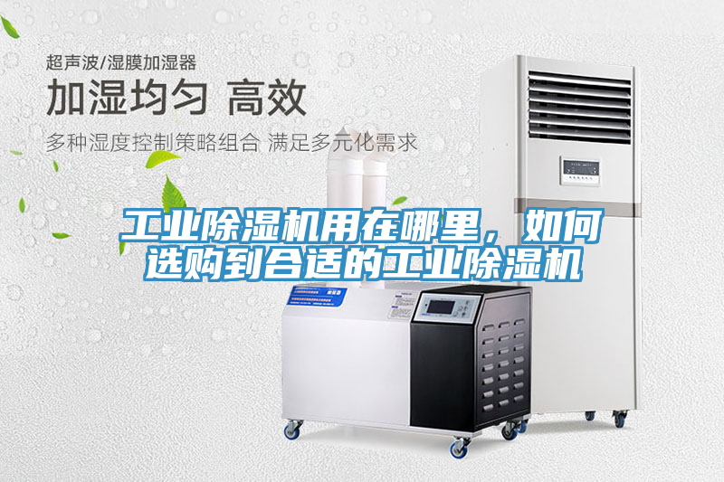 亚洲人成综合第一网站 工业除湿机用在哪里，如何选购到合适的工业除湿机