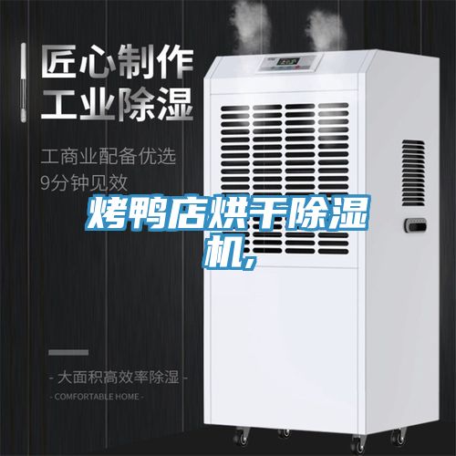 亚洲人成综合第一网站 烤鸭店烘干除湿机,