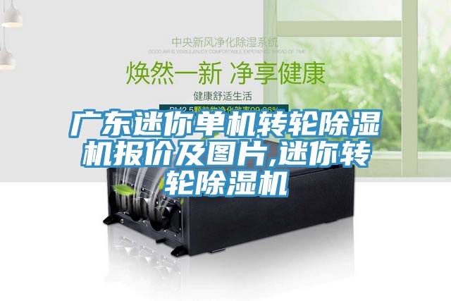 亚洲欧美一级特黄大片 广东迷你单机转轮除湿机报价及图片,迷你转轮除湿机