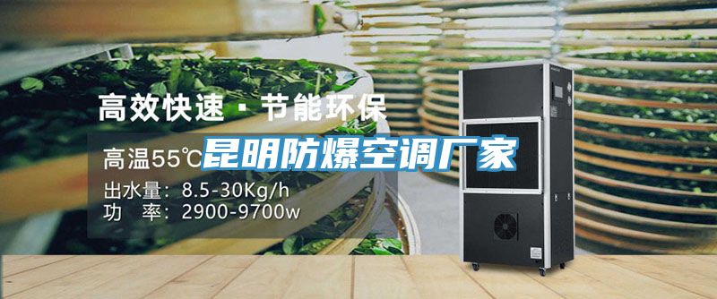 亚洲人成综合第一网站 昆明防爆空调厂家