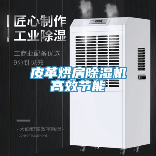 亚洲乱码一区二区三区 皮革烘房除湿机高效节能