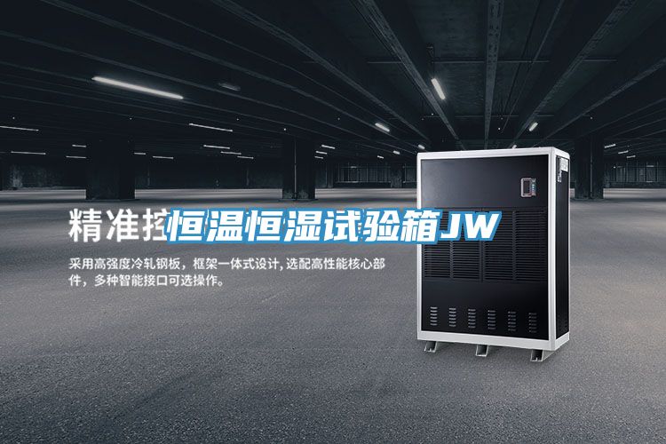 亚洲人成综合第一网站 恒温恒湿试验箱JW