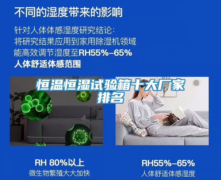 亚洲乱码一区二区三区 恒温恒湿试验箱十大厂家排名