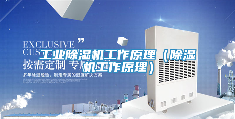 亚洲乱码一区二区三区 工业除湿机工作原理（除湿机工作原理）