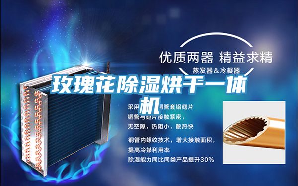 亚洲乱码一区二区三区 玫瑰花除湿烘干一体机