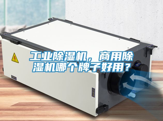 亚洲人成综合第一网站 工业除湿机，商用除湿机哪个牌子好用？
