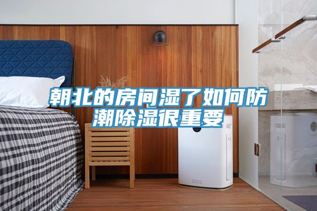 亚洲欧美一级特黄大片 朝北的房间湿了如何防潮除湿很重要