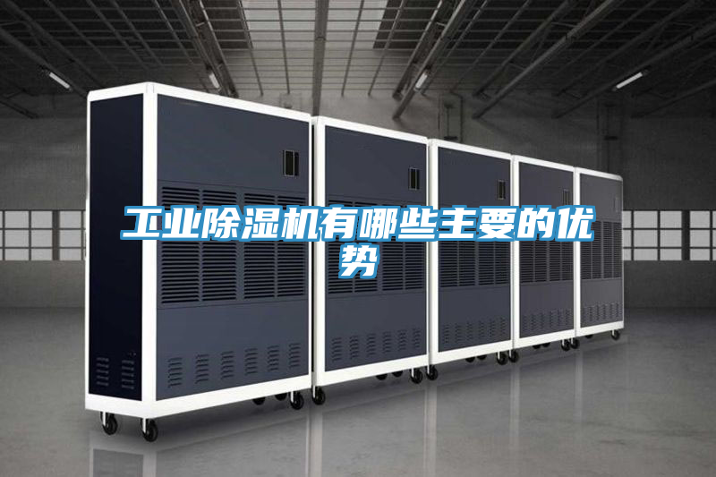 亚洲欧美一级特黄大片 工业除湿机有哪些主要的优势