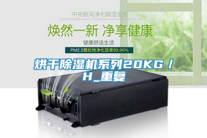 亚洲乱码一区二区三区 烘干除湿机系列20KG／H_重复