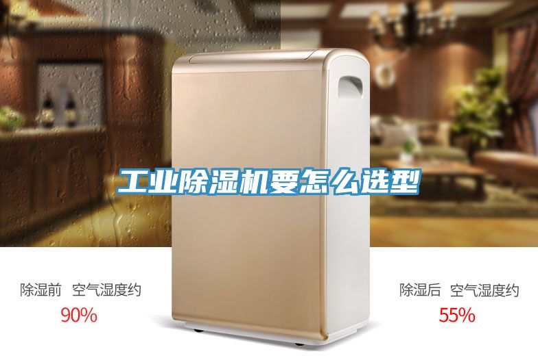 亚洲欧美一级特黄大片 工业除湿机要怎么选型